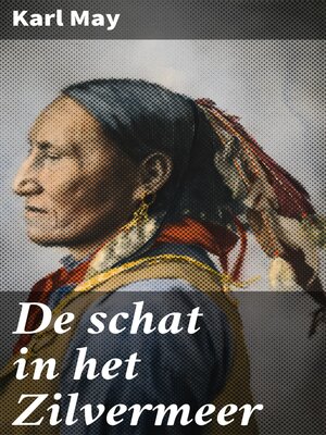 cover image of De schat in het Zilvermeer